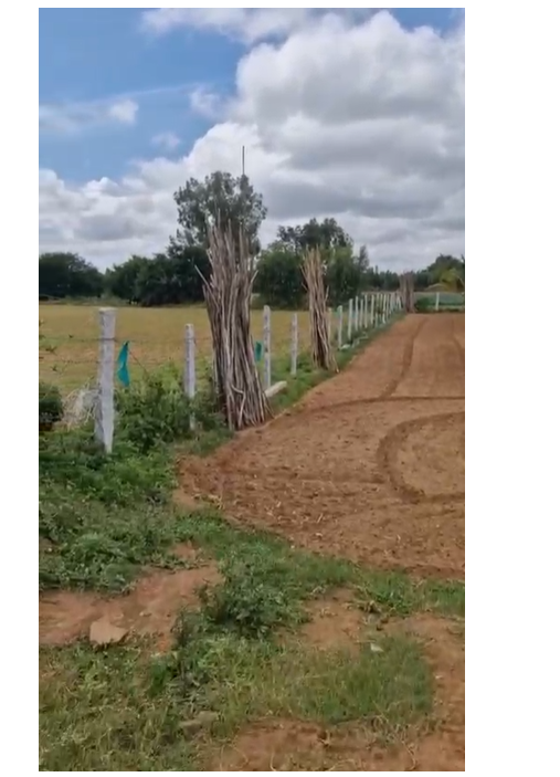 23 Gunta Farm Land for Sale – Doddaballapura